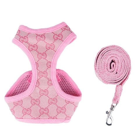 designer dog clothes gucci|Gucci dog harness and leash.